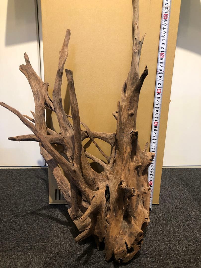 特大流木 水槽用レイアウト用品　現在交渉中