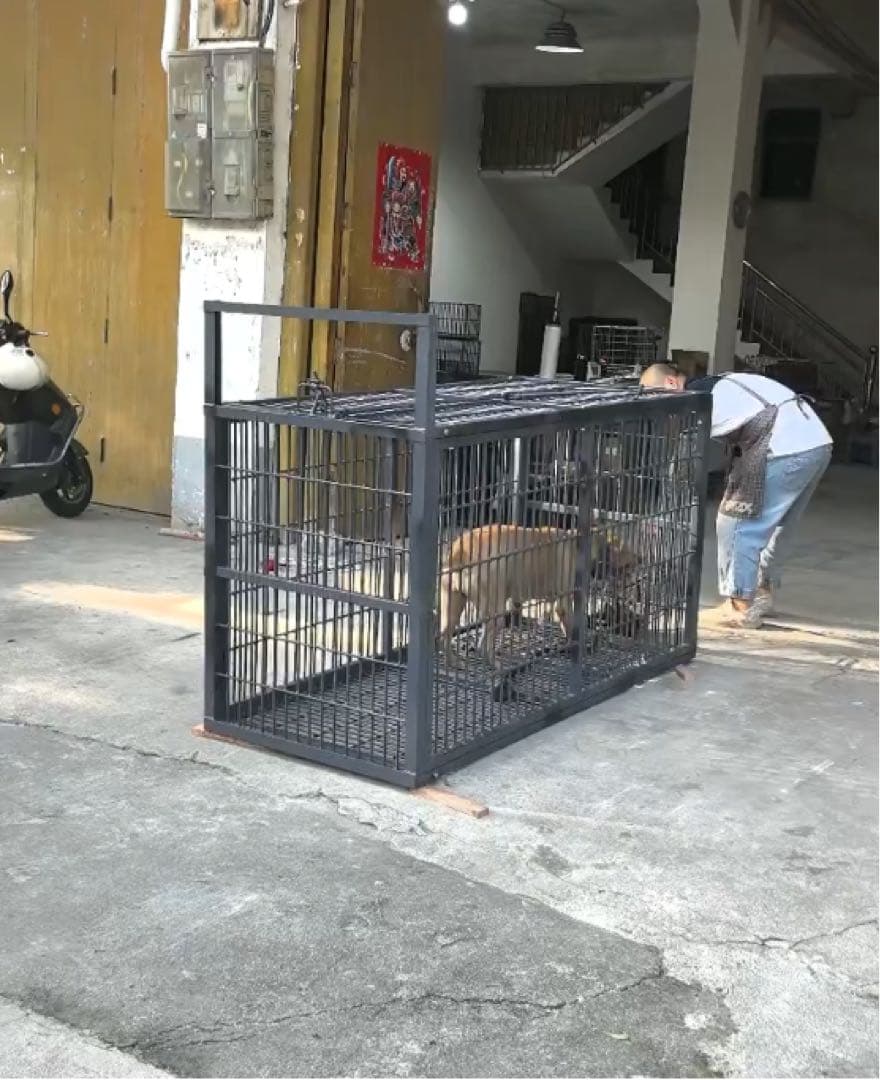 補強型 イノシシ・シカ用箱罠 犬小屋 片扉 2mx1mx1m (福山営業所止め）