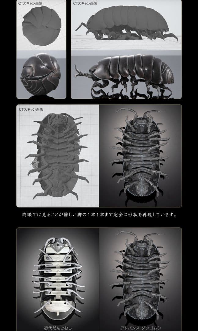 オンライン限定 いきもの大図鑑 ダンゴムシ（重塗装版） 全3種 コンプセット