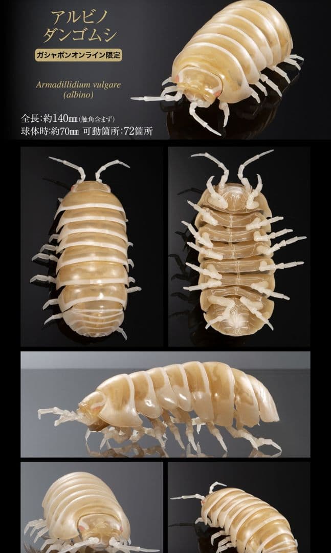 オンライン限定 いきもの大図鑑 ダンゴムシ（重塗装版） 全3種 コンプセット