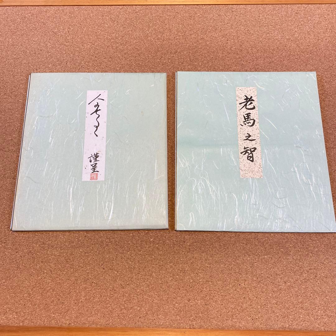 【ビンテージ 美品】書道作品　老馬之智　2点セット
