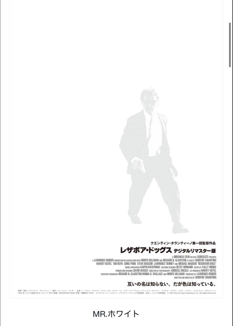 専用　ニルヴァーナ　スリヴァー