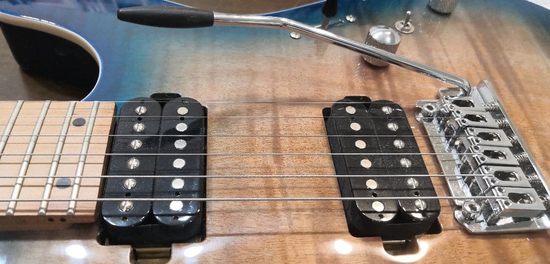 Bacchus エレキギター ローステッドメイプル指板