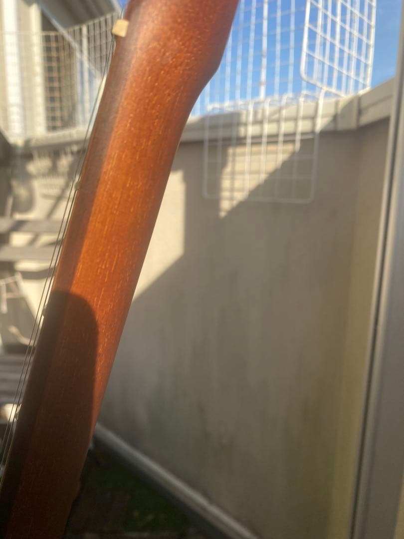 Fender Newporter Player (フェンダーニューポーター)