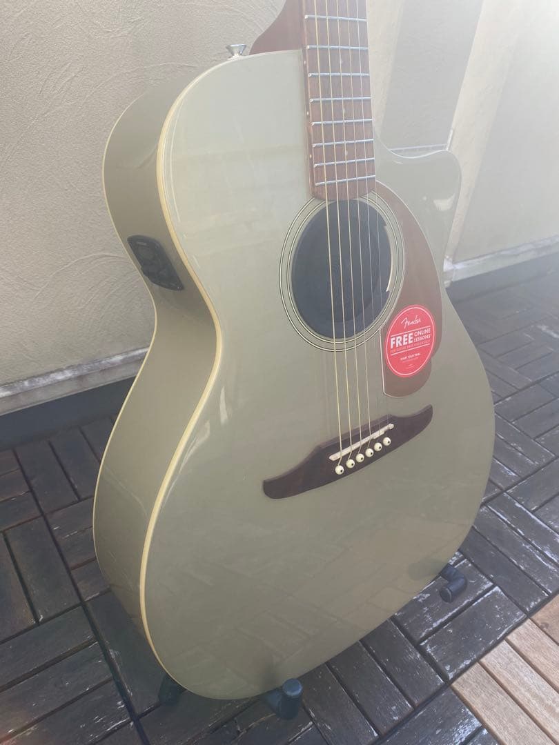 Fender Newporter Player (フェンダーニューポーター)