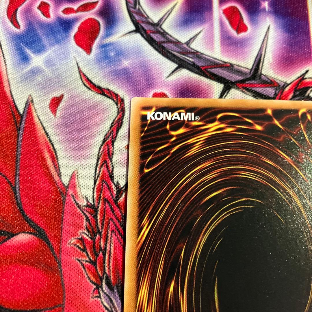 遊戯王　EU版　計都星辰　アルティメットレア