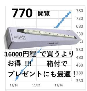 TAHORNG 電子リコーダー Elefue エレフエ EF10WH ホワイト