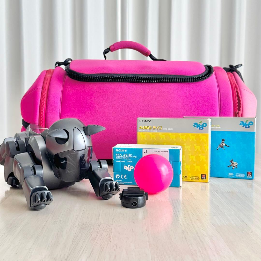 SONY AIBO ERS-210 動作未確認 ジャンク扱い アイボ