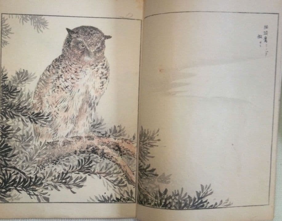 木版画本聚鳥畫譜大正5年再版三冊揃い天、地、人沼田荷舟画初版は明治18年～22年