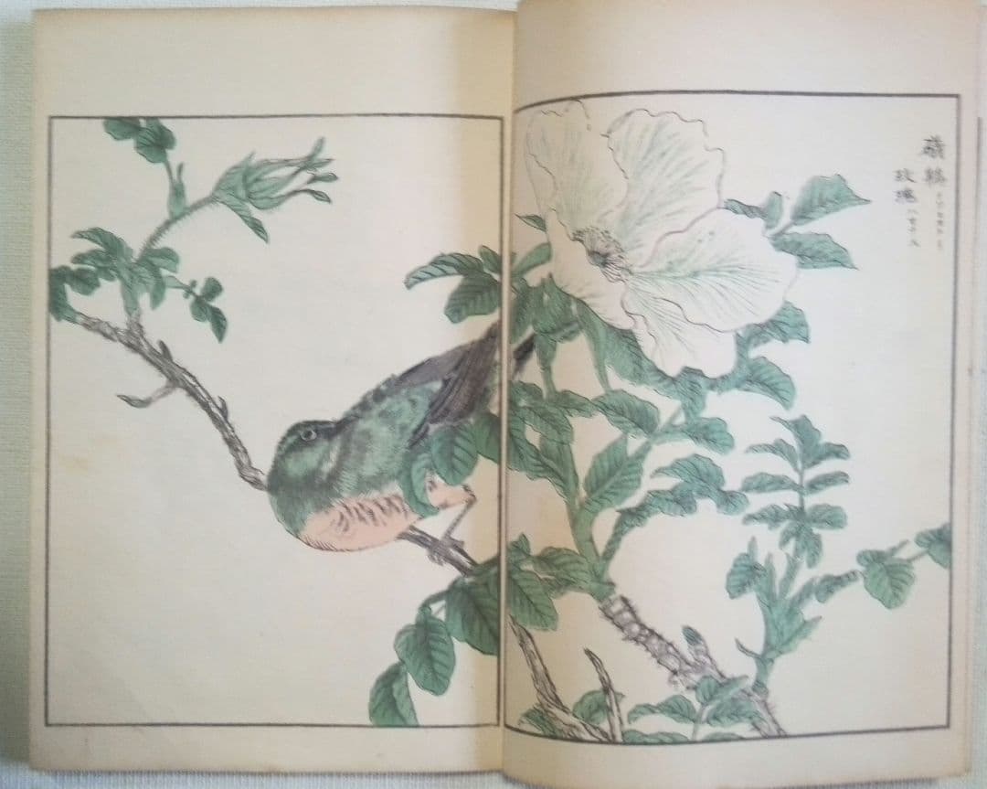 木版画本聚鳥畫譜大正5年再版三冊揃い天、地、人沼田荷舟画初版は明治18年～22年