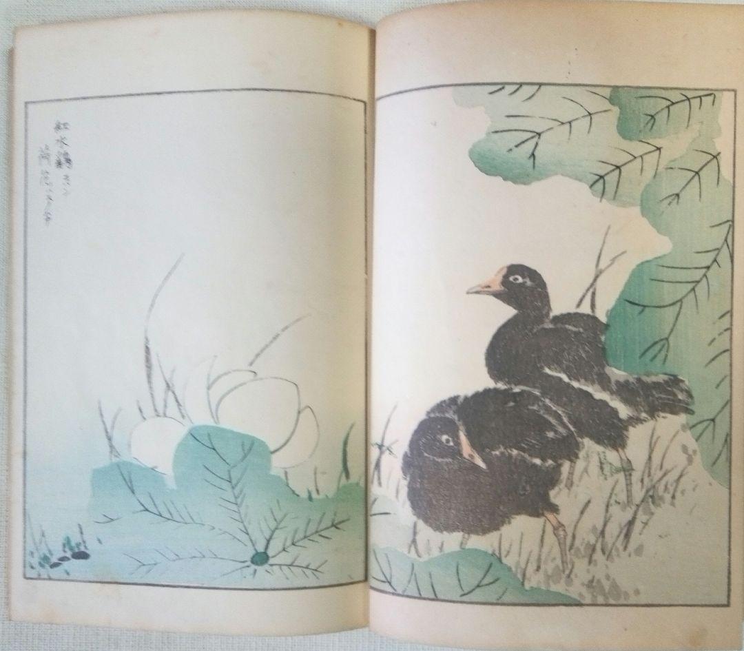 木版画本聚鳥畫譜大正5年再版三冊揃い天、地、人沼田荷舟画初版は明治18年～22年