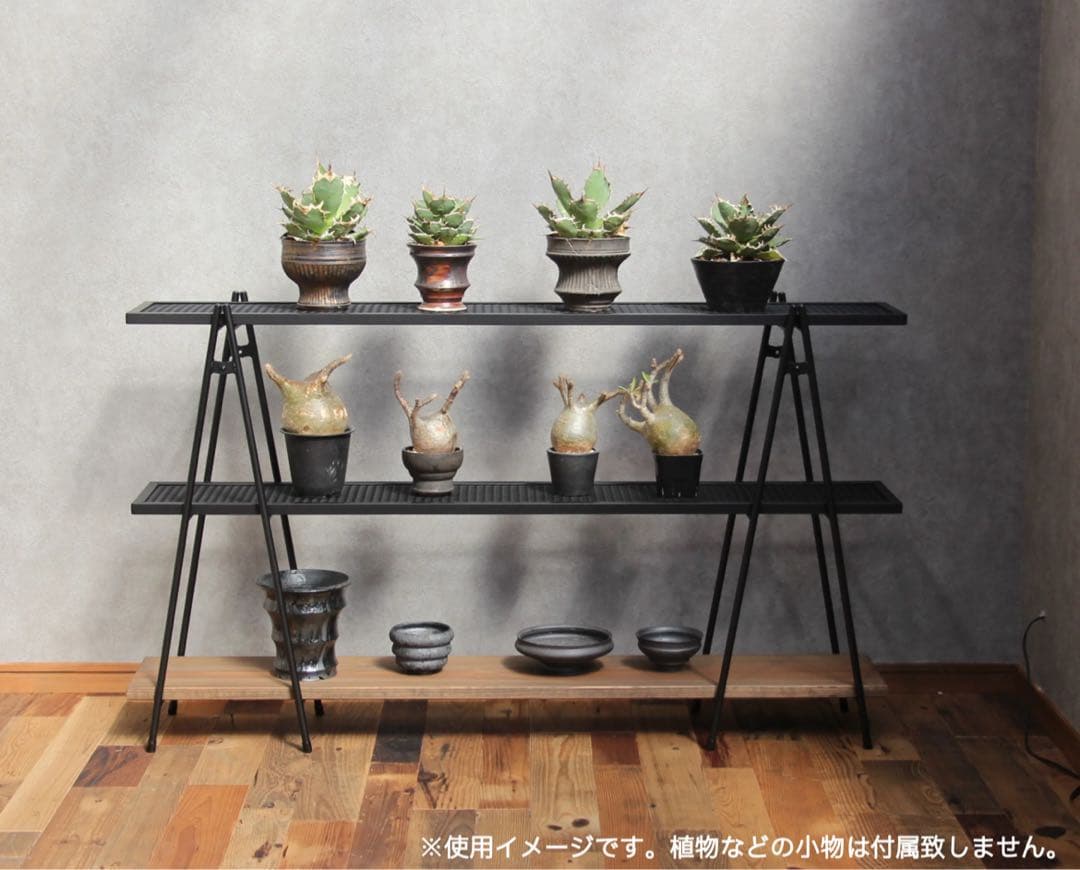 Lim iron craft 植物棚　アイアンラック　インテリア