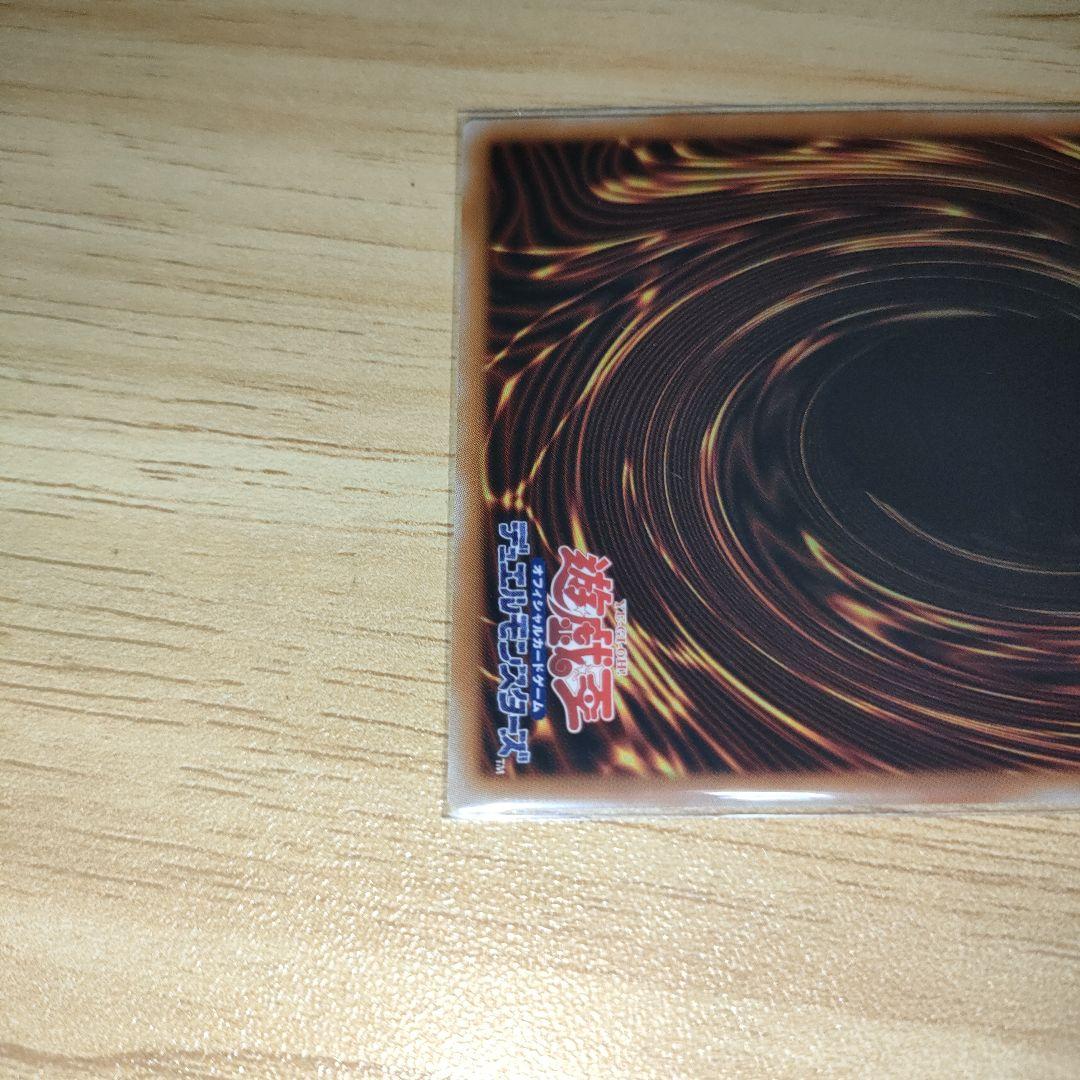 遊戯王　聖域を守護せし光の龍　エクストラ　シークレット