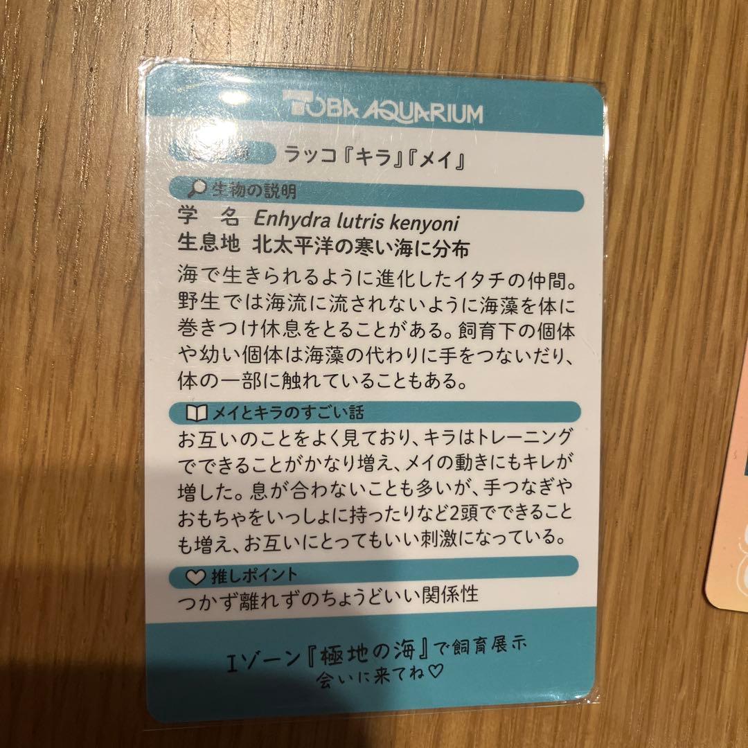 鳥羽水族館コレクションカード2枚
