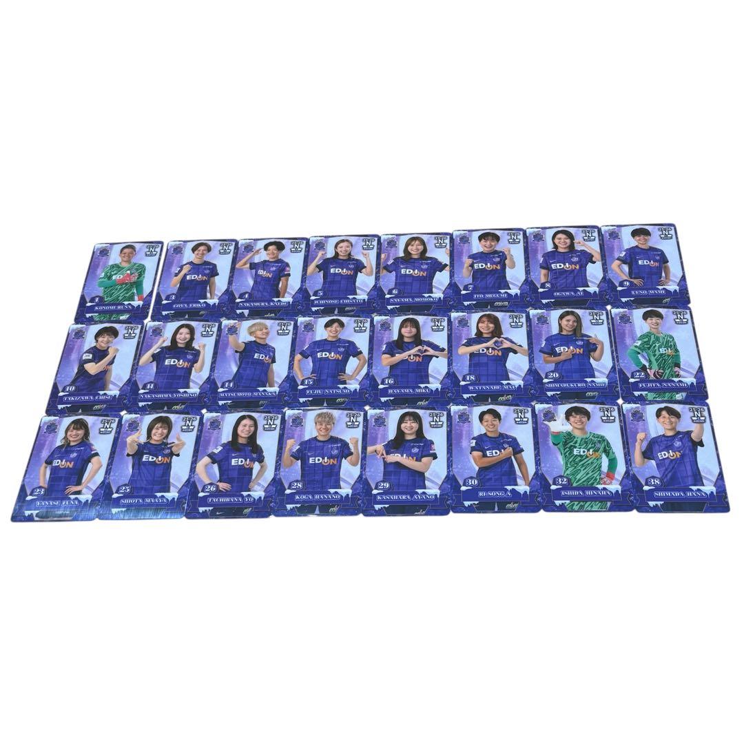 サンフレッチェ 広島レジーナ　オンサイトカード　コンプリートセット