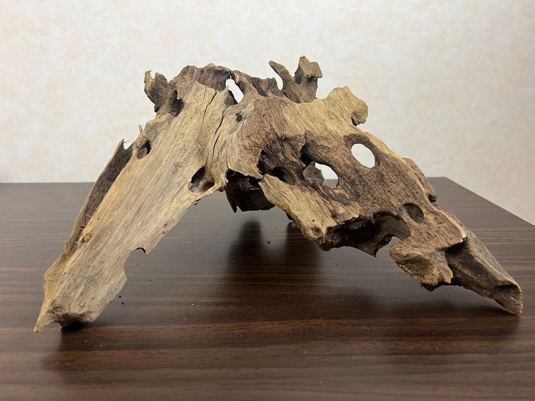 XM-378 流木　マシンガンウッド　アクアリウム　ブランチウッド