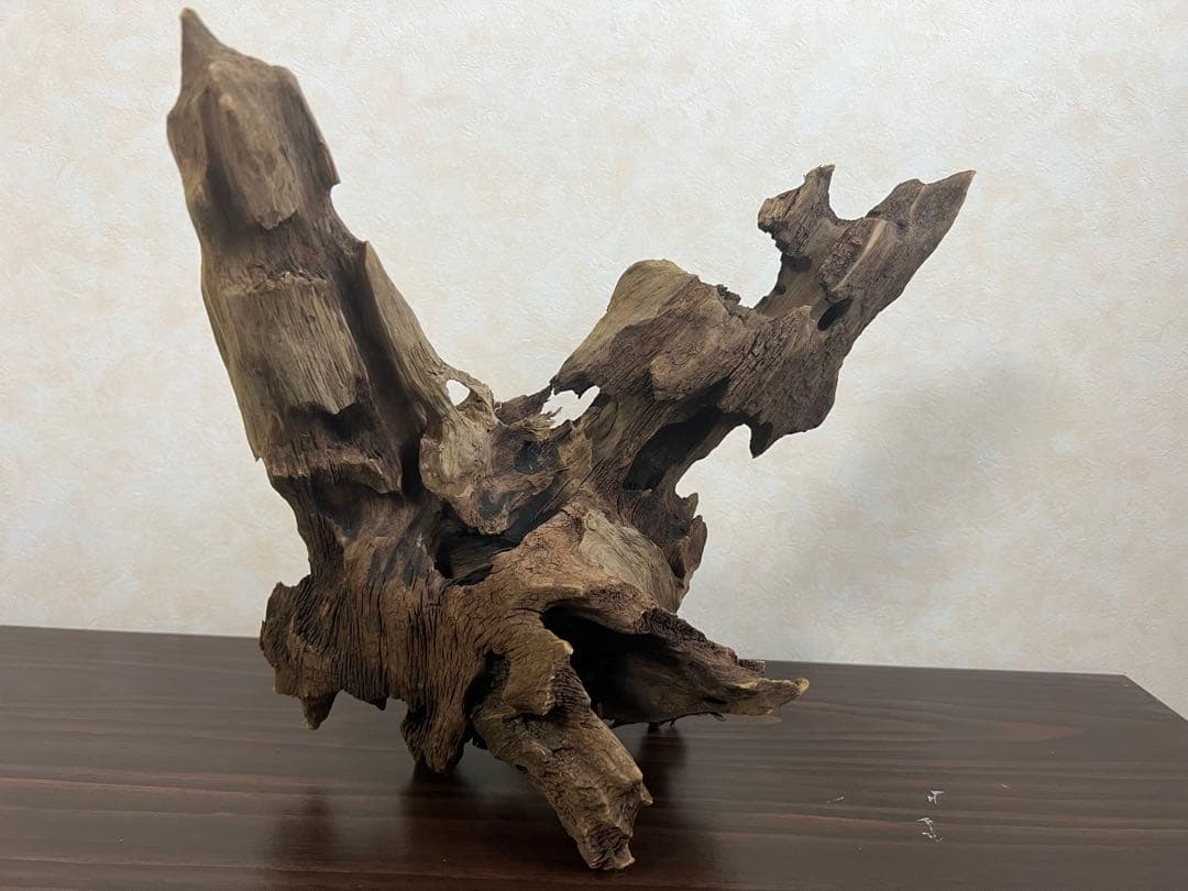 XM-378 流木　マシンガンウッド　アクアリウム　ブランチウッド