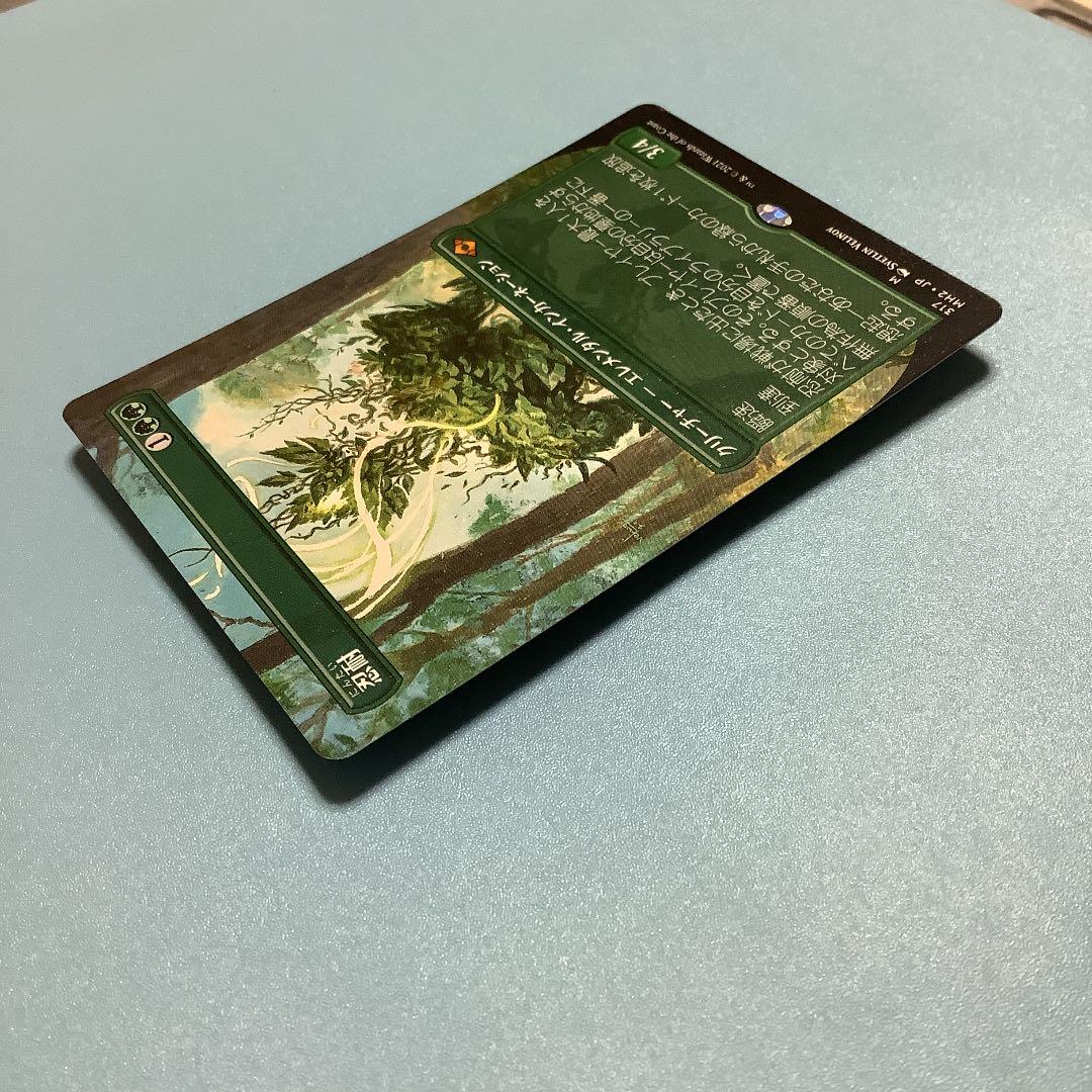 忍耐/Endurance  MH2ーBF日本語ボーダーレス