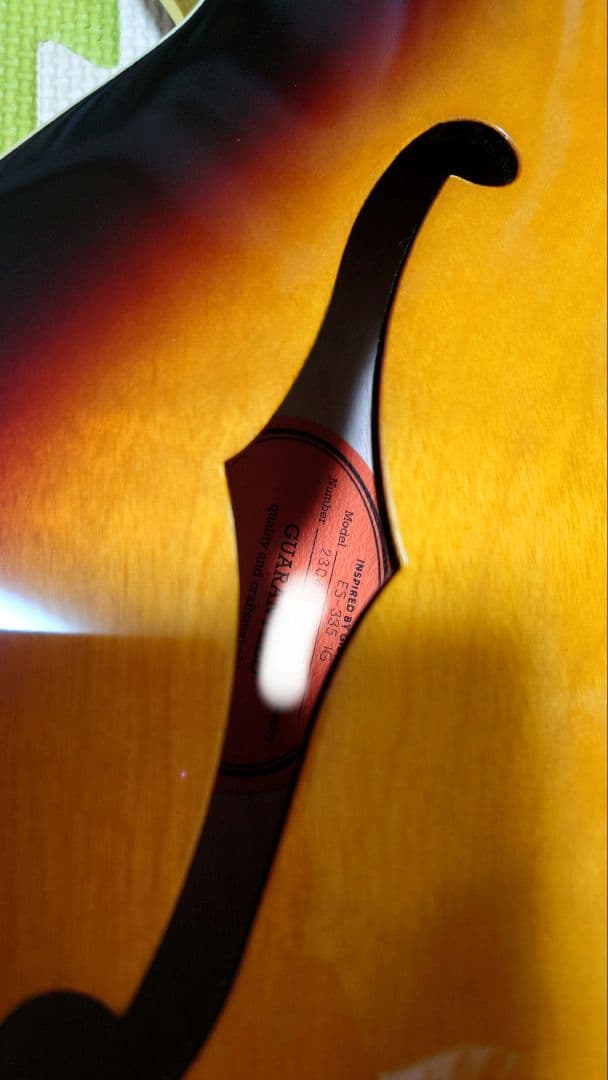 Ryo　　　Epiphone　ES-335 IG