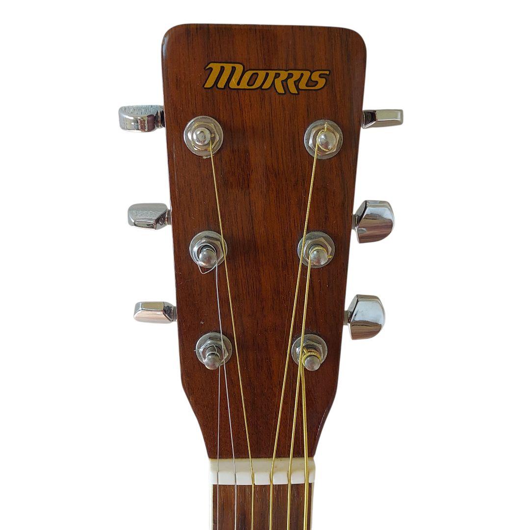 【レフティ】Morris アコギ　左利き　MD-302LH