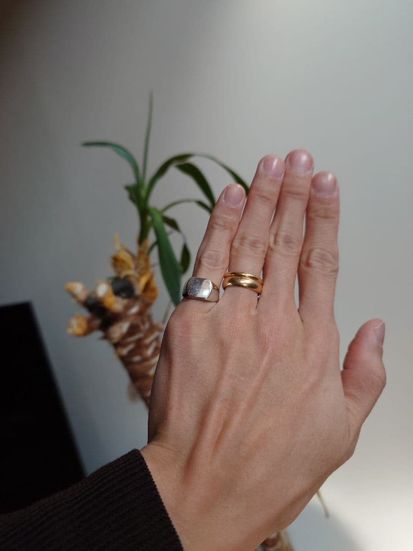 ACE by monizane ＋a シグネットリング計3点＋バンクローバー1点