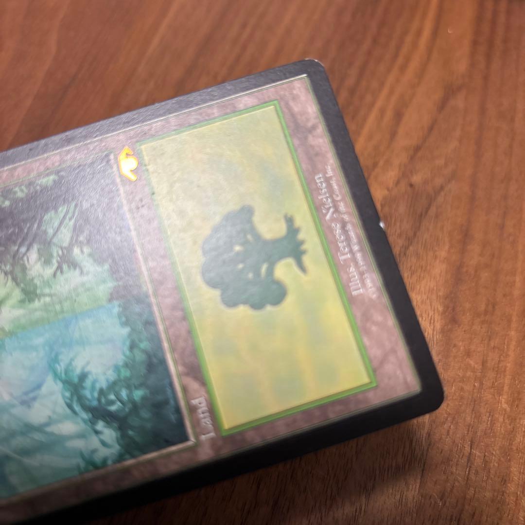 Guruランド グルランド 森 forest guru land