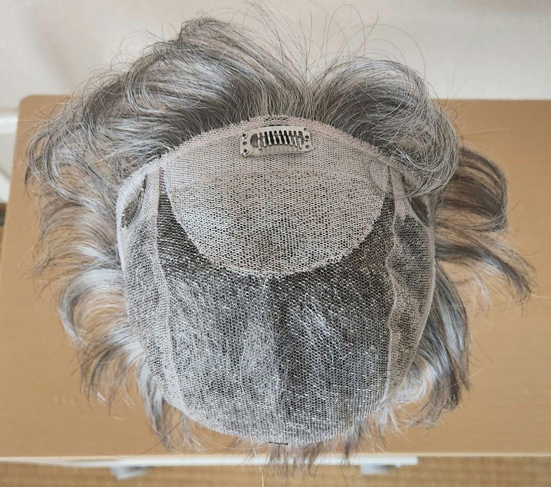 プー NAO-ART ナオ アート シルバーヘア ウィッグ ART 6-0