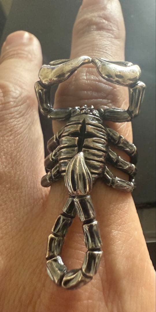 ヒステリックスグラマースコーピオン シルバーリング 925 赤いストーン付！