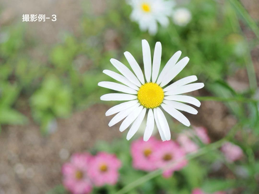 50㎜ f2.8 ヘリコイド機能付き Borg引き伸ばしレンズ