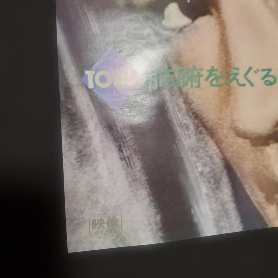 【良品】燃えよドラゴン他 全5枚 B2ポスター