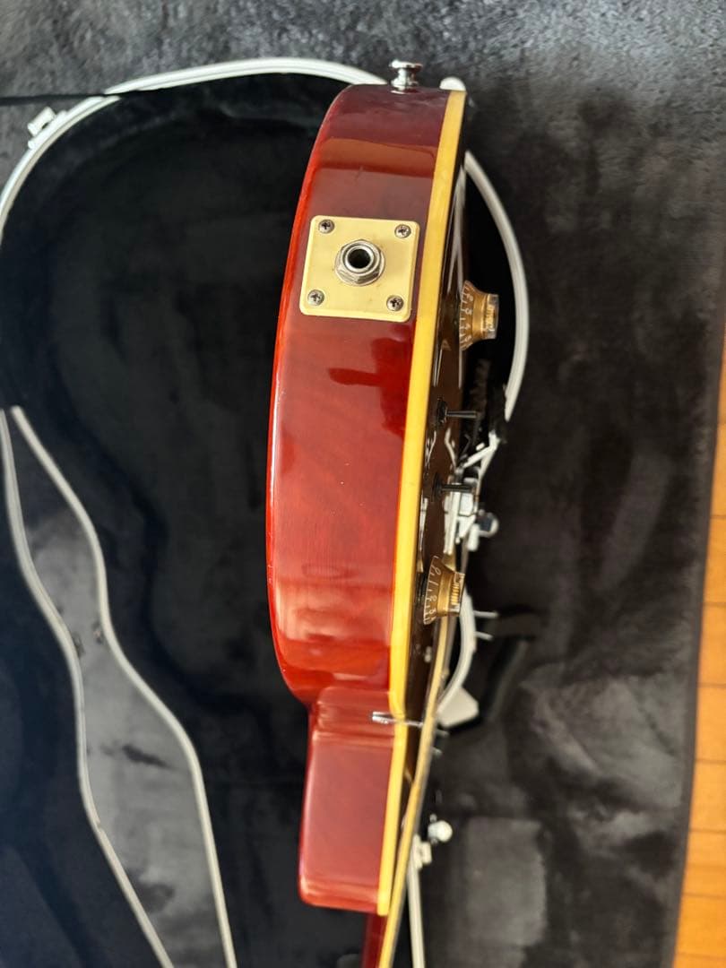 Burny RLG サスティナー ロック式トレモロ