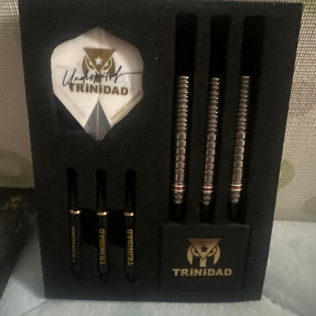 【専用】トリニダード ゴメス15 山田勇樹モデル 2BA 20g