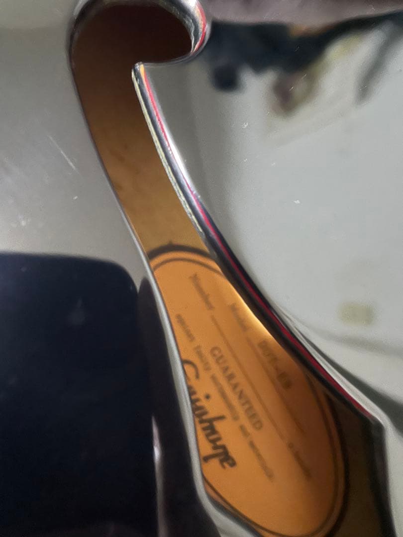 エピフォン　ES-335 dot