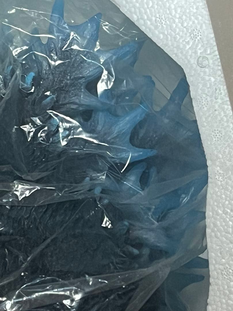 ギガンティックシリーズ ゴジラ 2001 背びれ発光イメージVer.