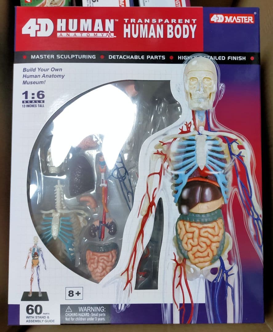 立体パズル4D VISION