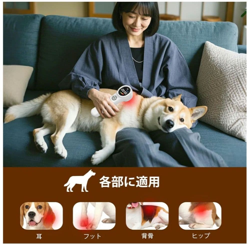 【迅速発送】家庭用赤外線照射器