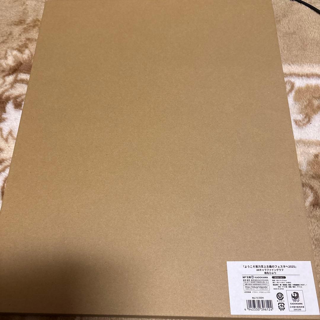 ようこそ実力至上主義のフェスタへ2025 椎名ひより　ファイングラフ　よう実