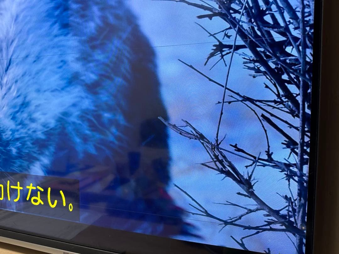 REGZA 55V型 液晶テレビ