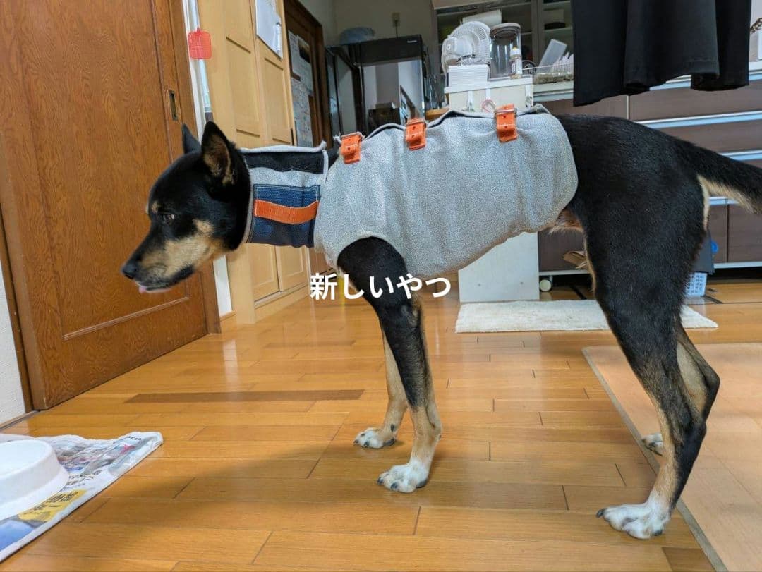 猟犬用耐切創ドッグベスト スペクトラベスト Spectra Vest 【強化版】