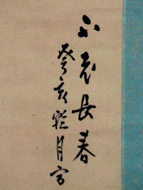 ♥掛軸　松に牡丹　 成木 星洲 　掛け軸　骨董品