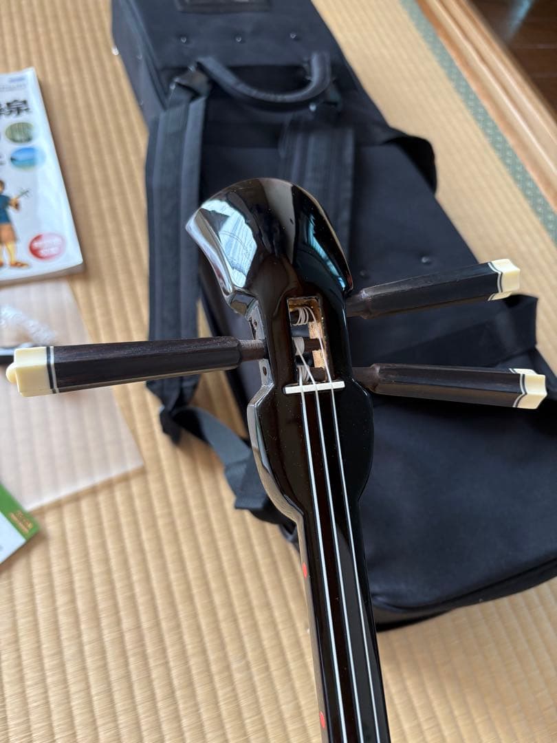 沖縄三線 初心者 入門者 専用ケース付