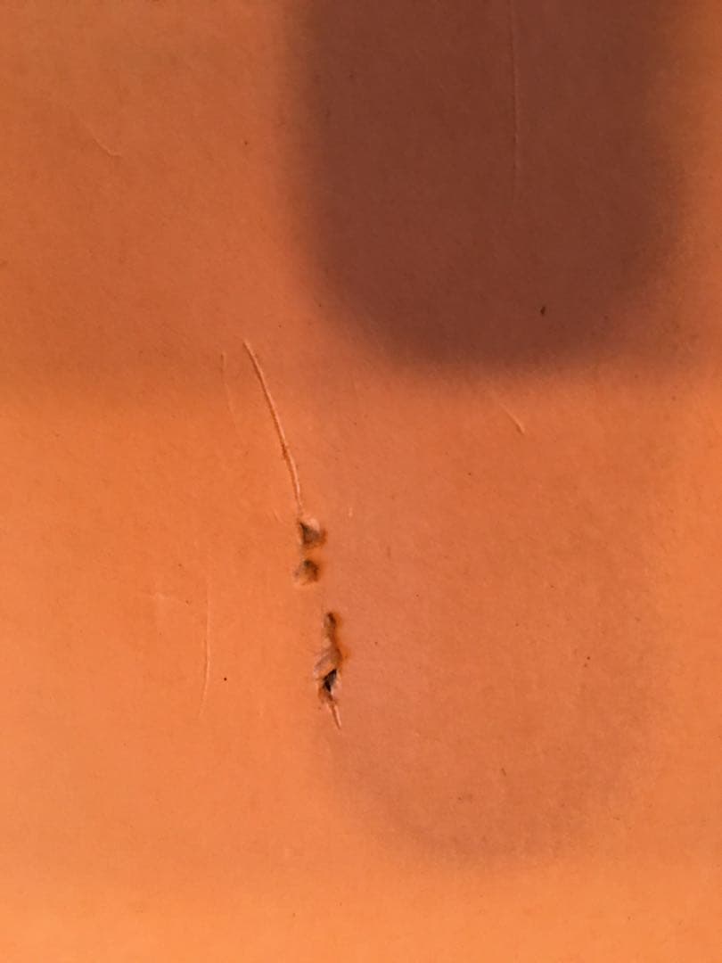 山口小夜子　1983年　資生堂ポスター　ビンテージ