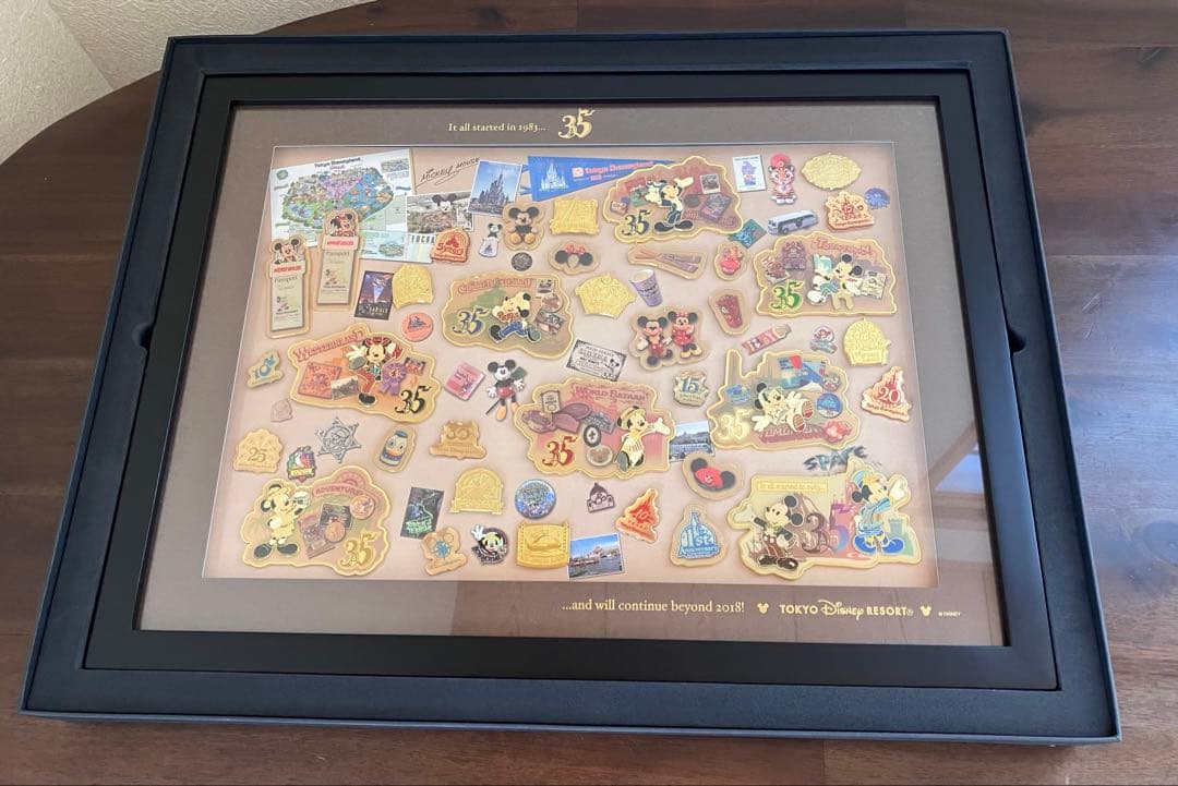 ディズニー 35周年 ピンバッジコレクション