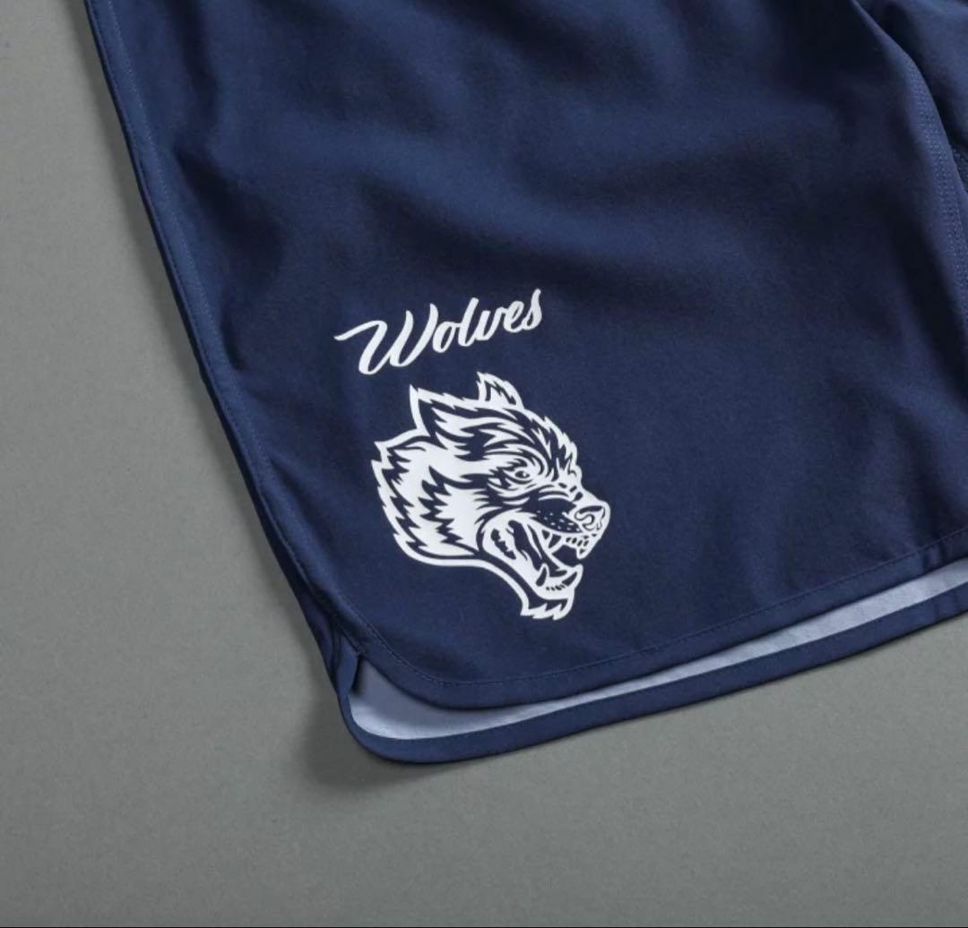 DARC SPORT STAGE SHORTS 28 サーフパンツ