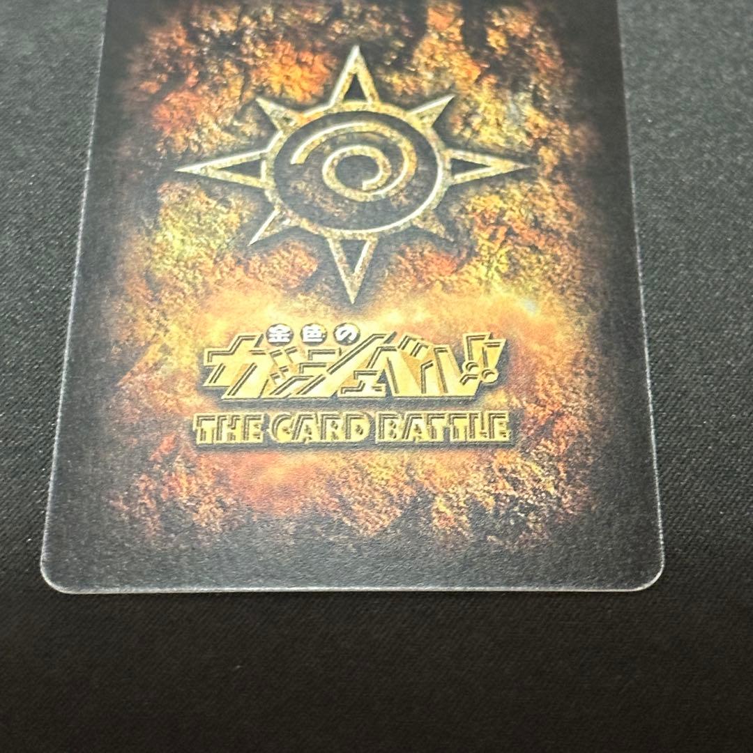 バリー 大きな背中 M-454