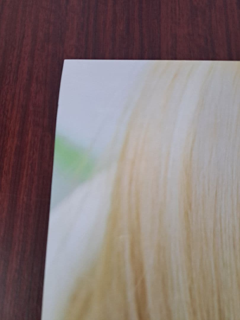 【超貴重/当時物/人気】西野カナ「to LOVE」★ポスター