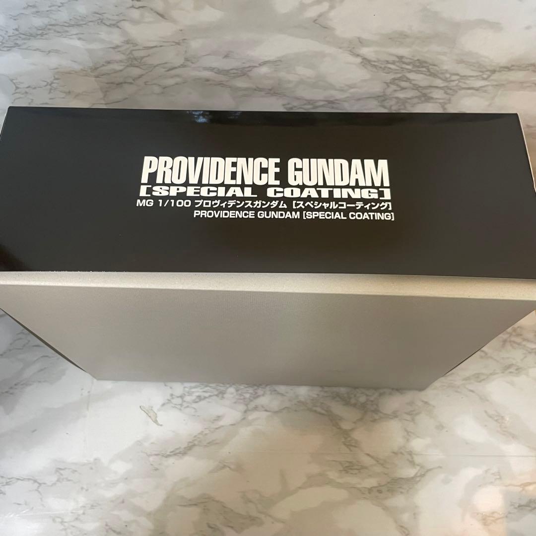 【新品】ＭＧ 1/100 プロヴィデンスガンダム [スペシャルコーティング]