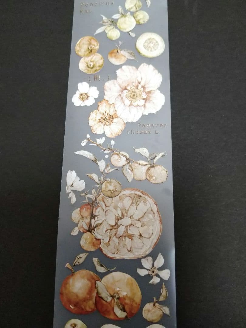 S22＃橘枳(雾面PET)雀斑茶切り売り海外装飾マステ
　5cm×100cm