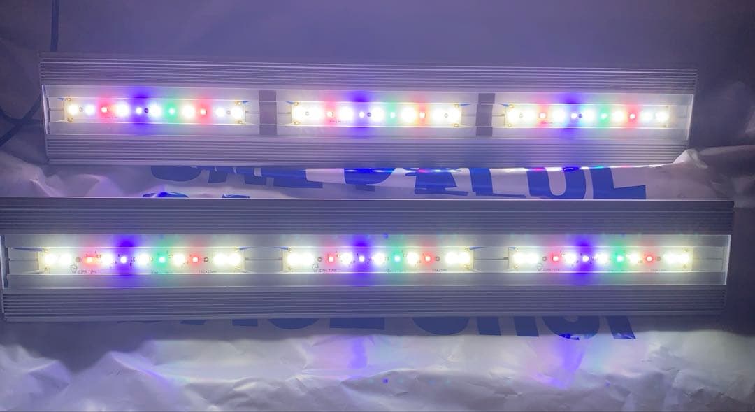 アクロ　トライアングルグロウ　60 セット売り