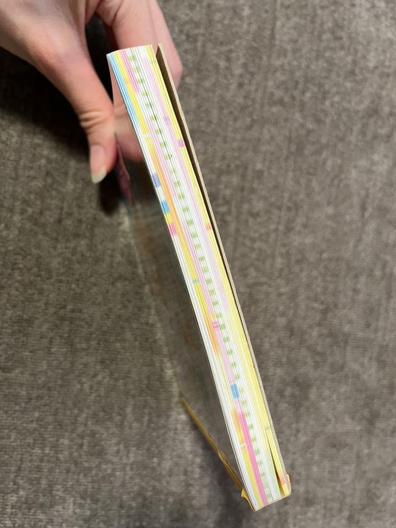 平成レトロ メモ帳 レア ちっちゃいちわわーるど カミオジャパン